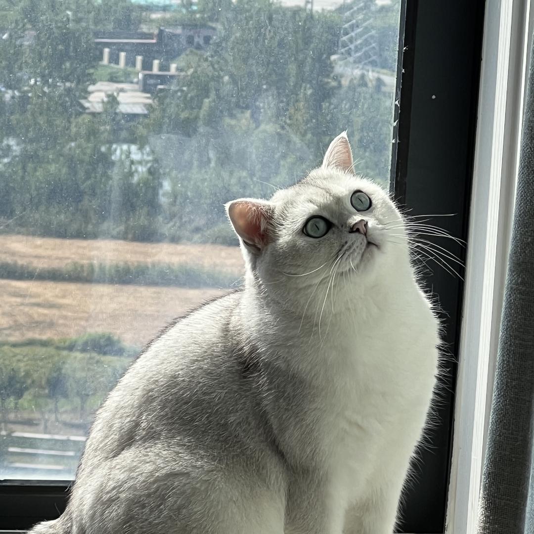 娅请百货