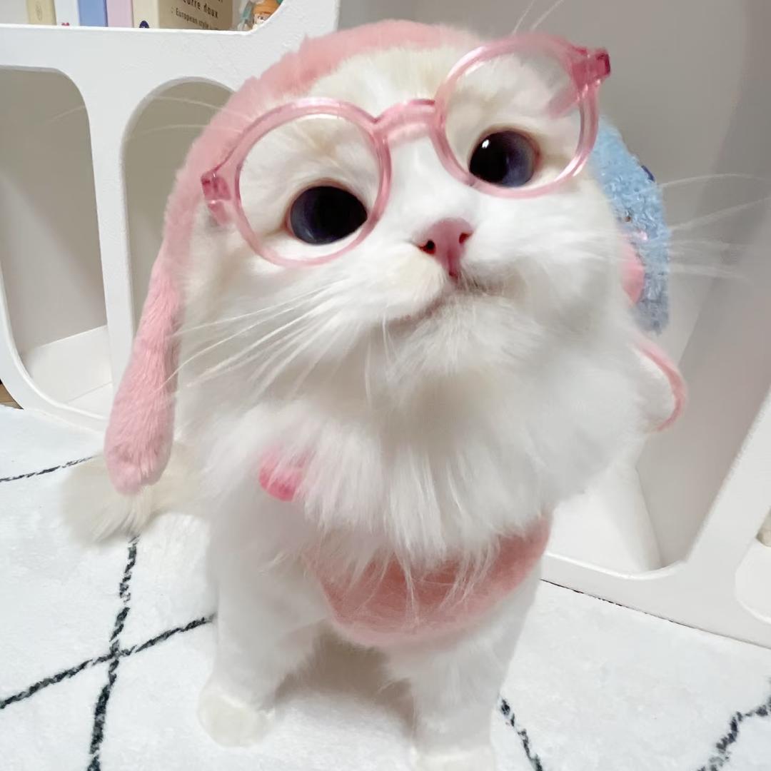花开富贵包