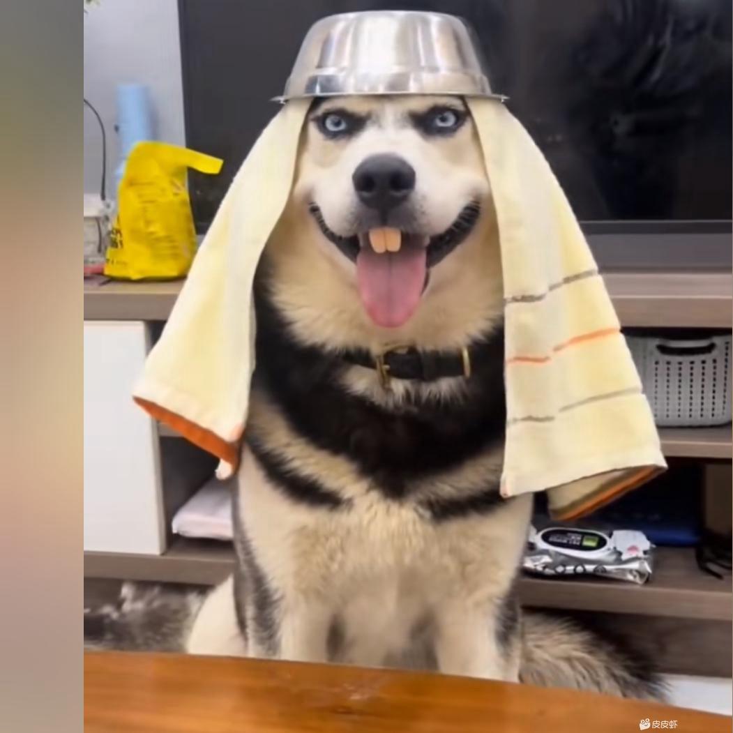 宣顺