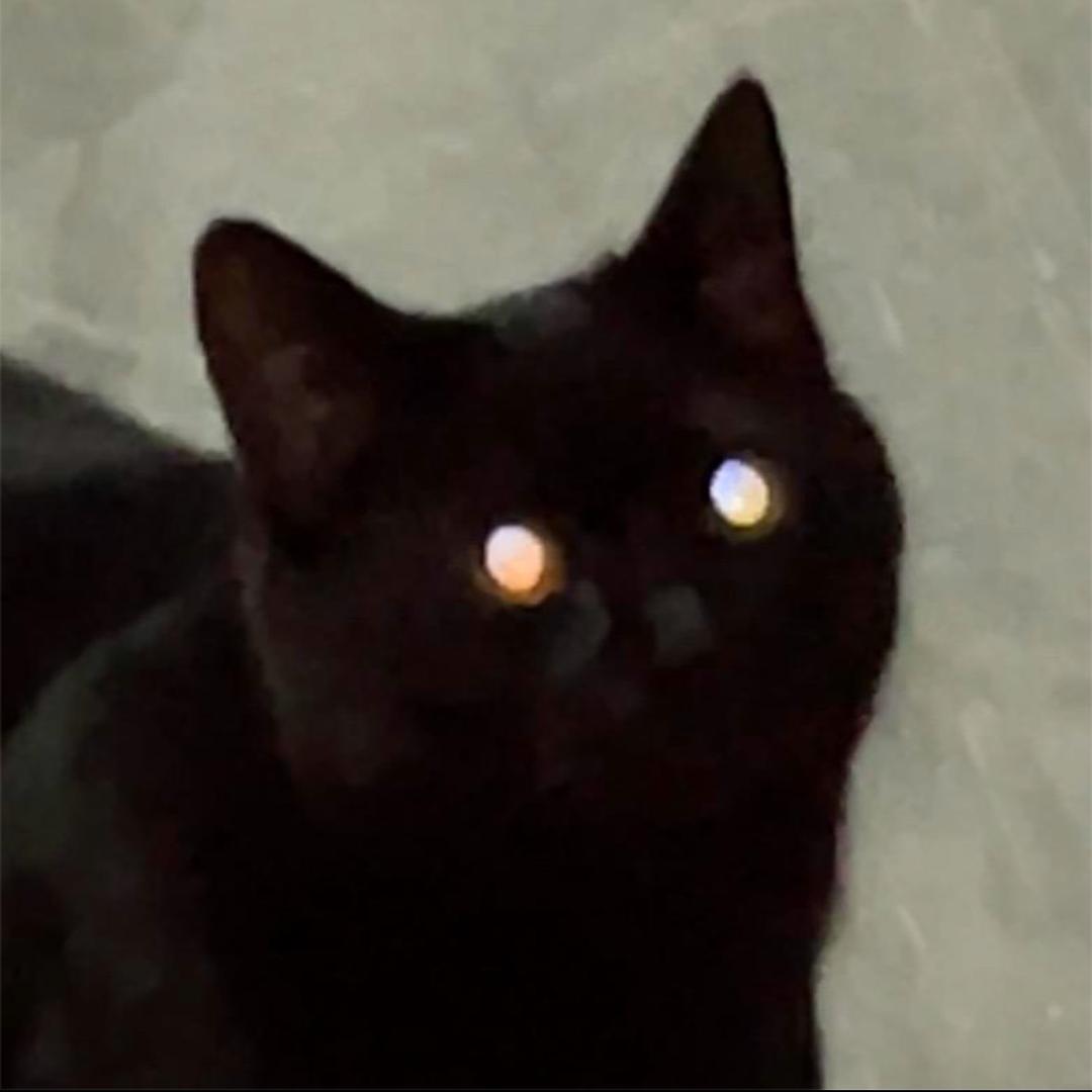 赵陳陳