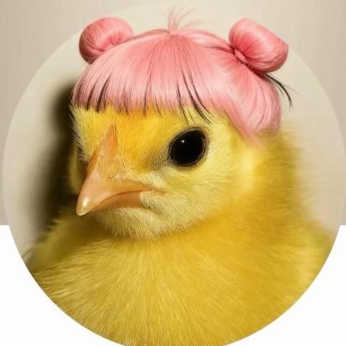 TT姐姐