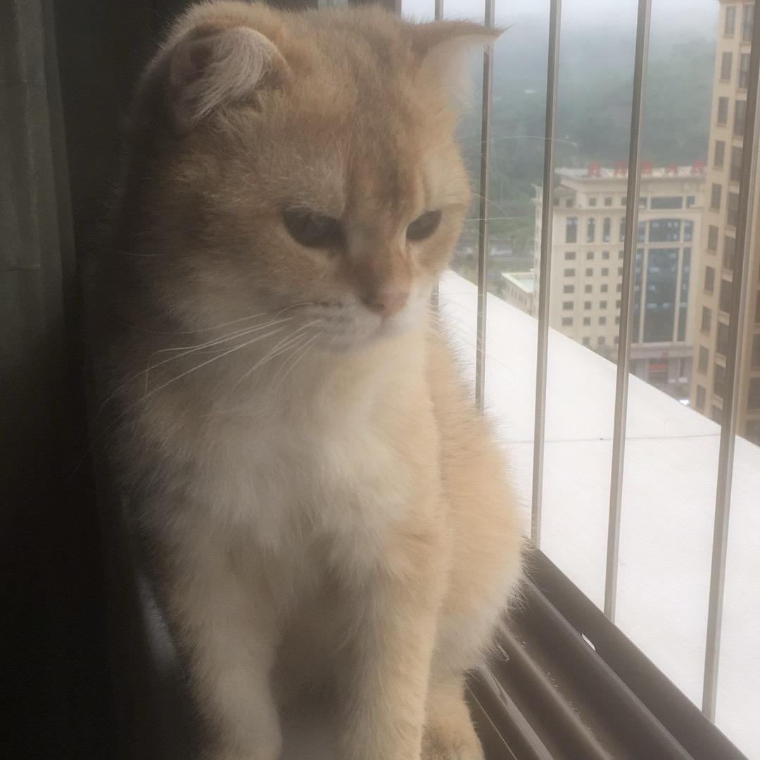 在