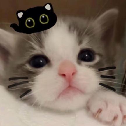 3737