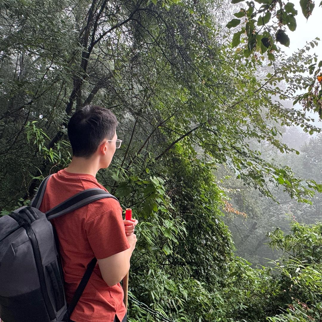 几亿年前的寒武纪