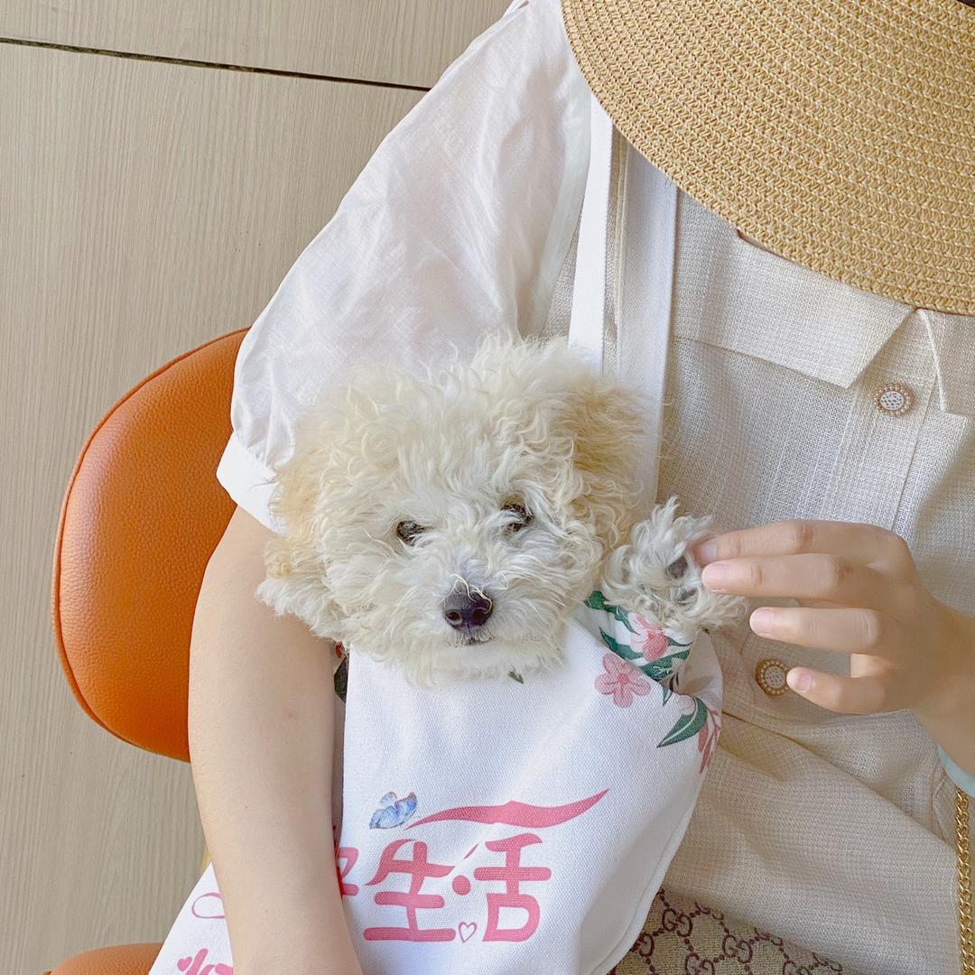 周＋小妞  33