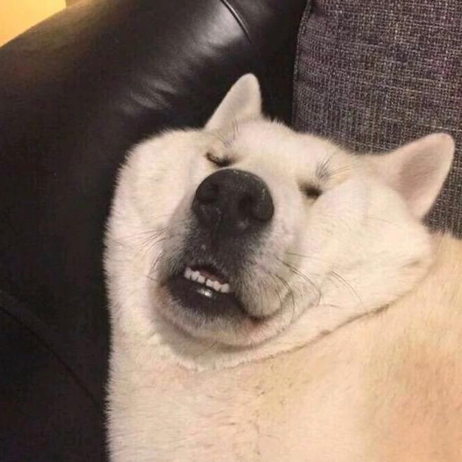 安安