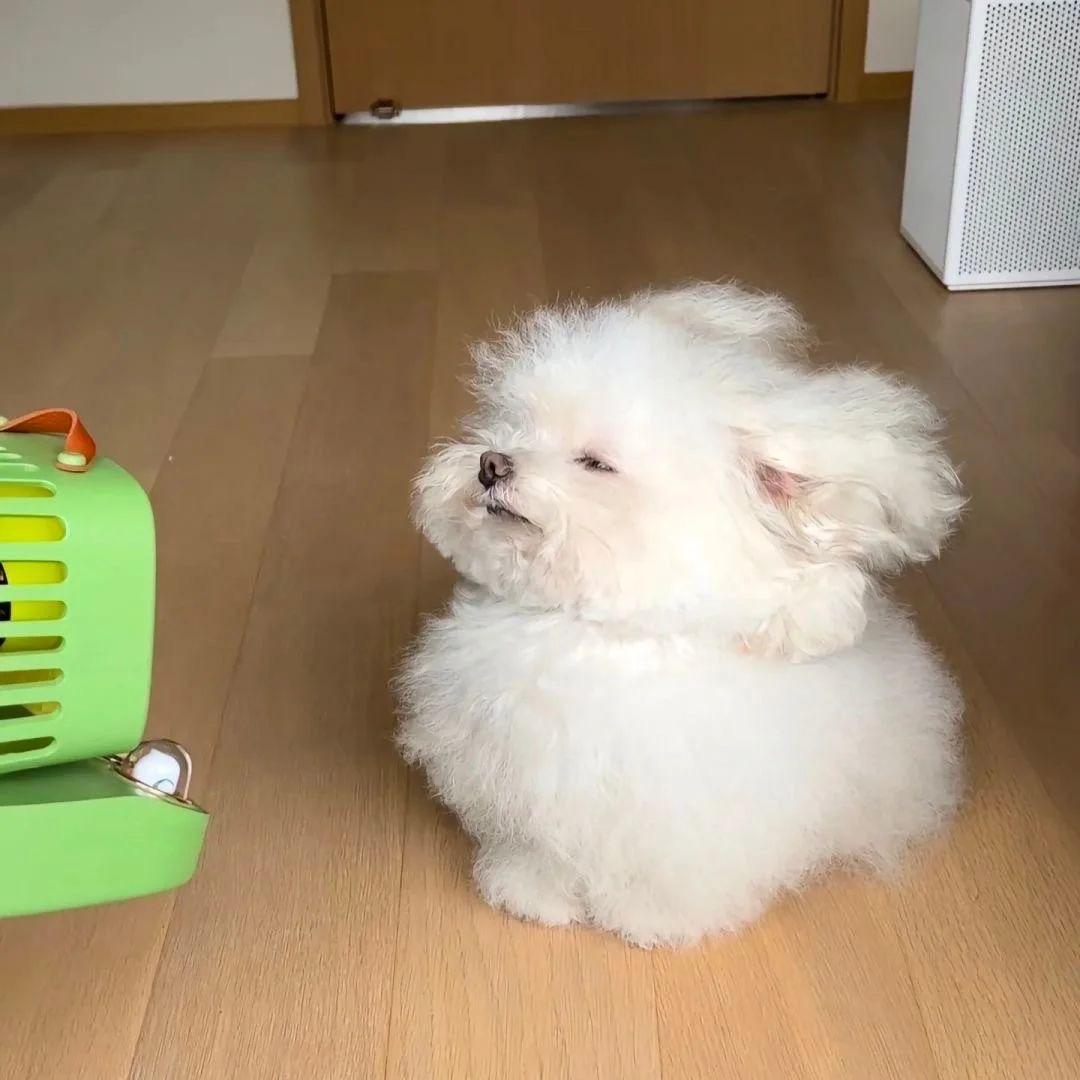 姚了你了.
