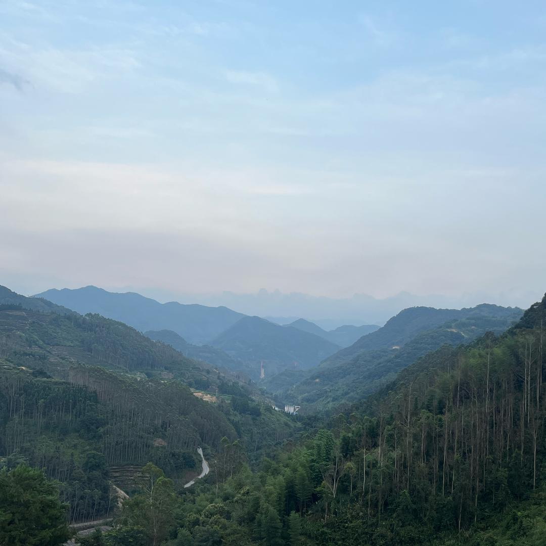半盏清茶