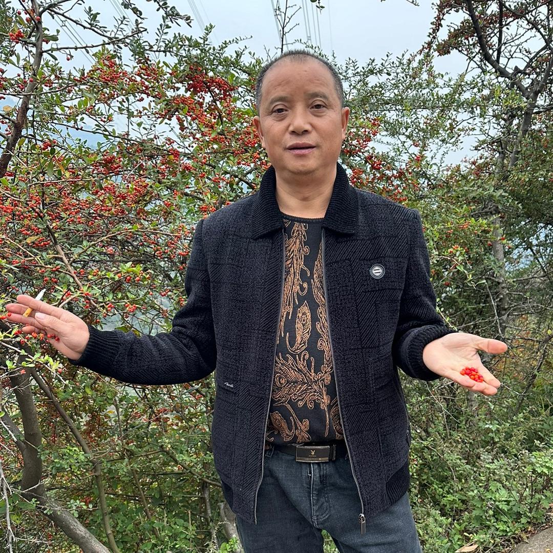 梦缘愚乐  山谷传媒