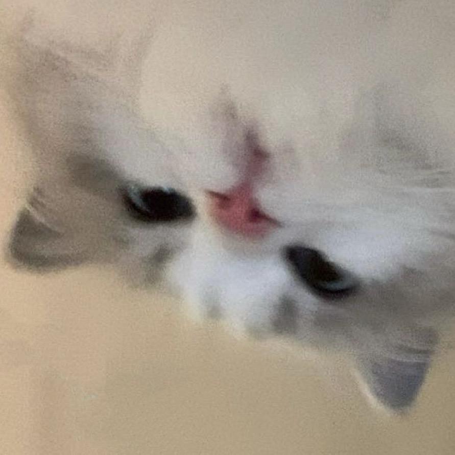 然鹅