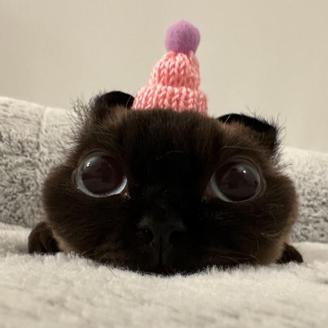 saaa～