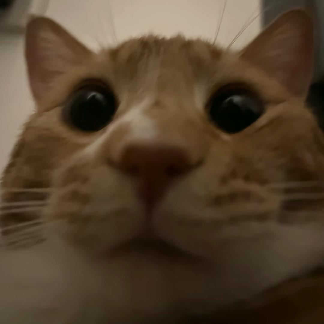 我不得劲儿！！！！