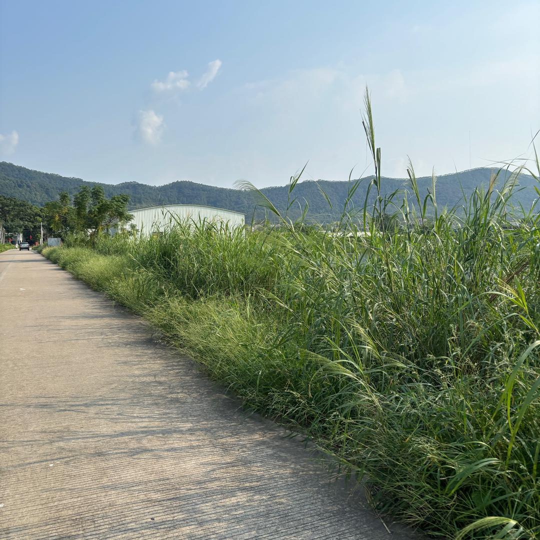 源于梦想的力量