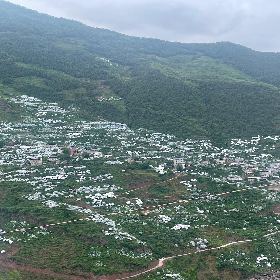 王者荣耀80星全能选手