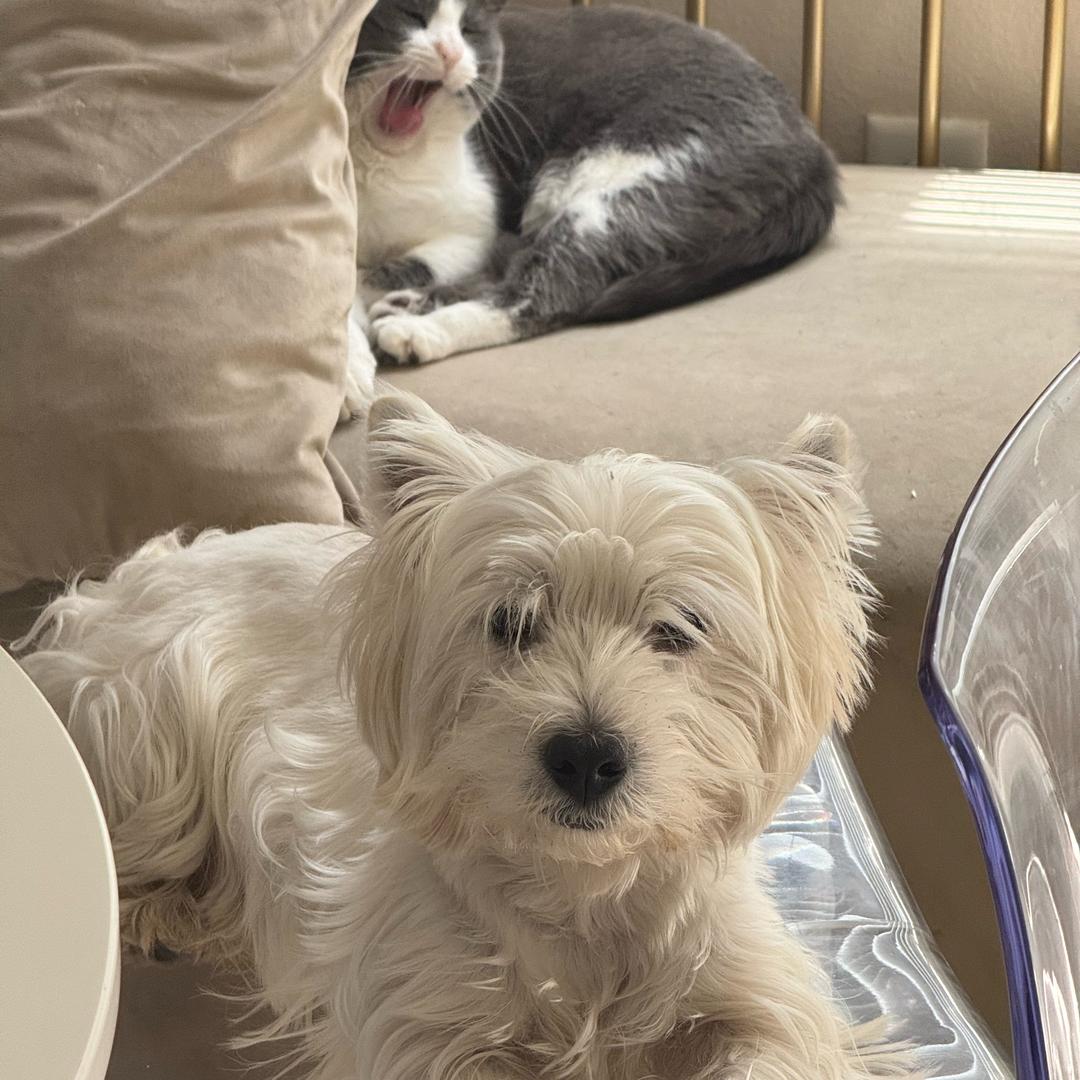 开心大妞🍭🍡🍬