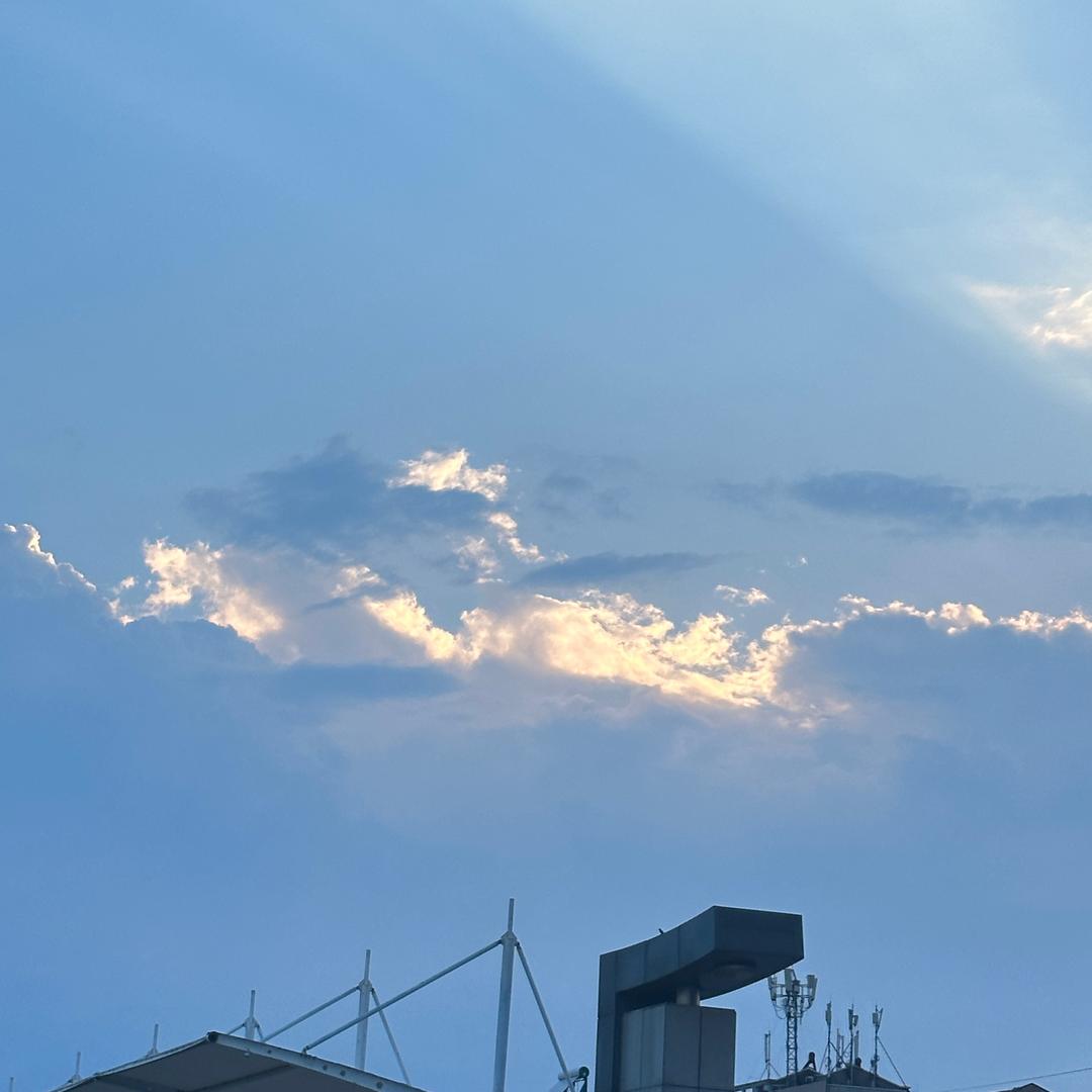 年年子减肥版（想减到94斤）