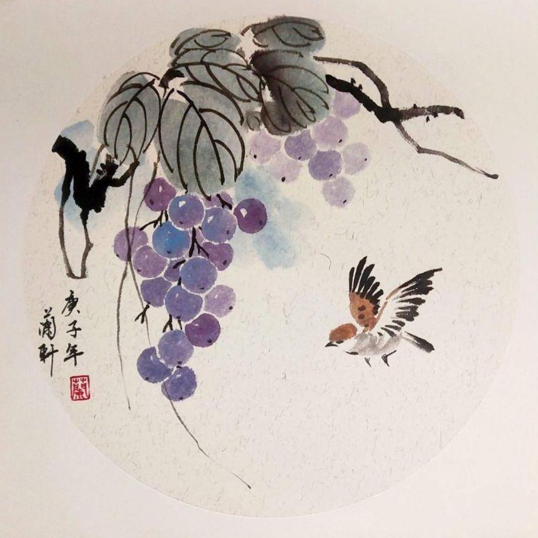 国画花鸟教程