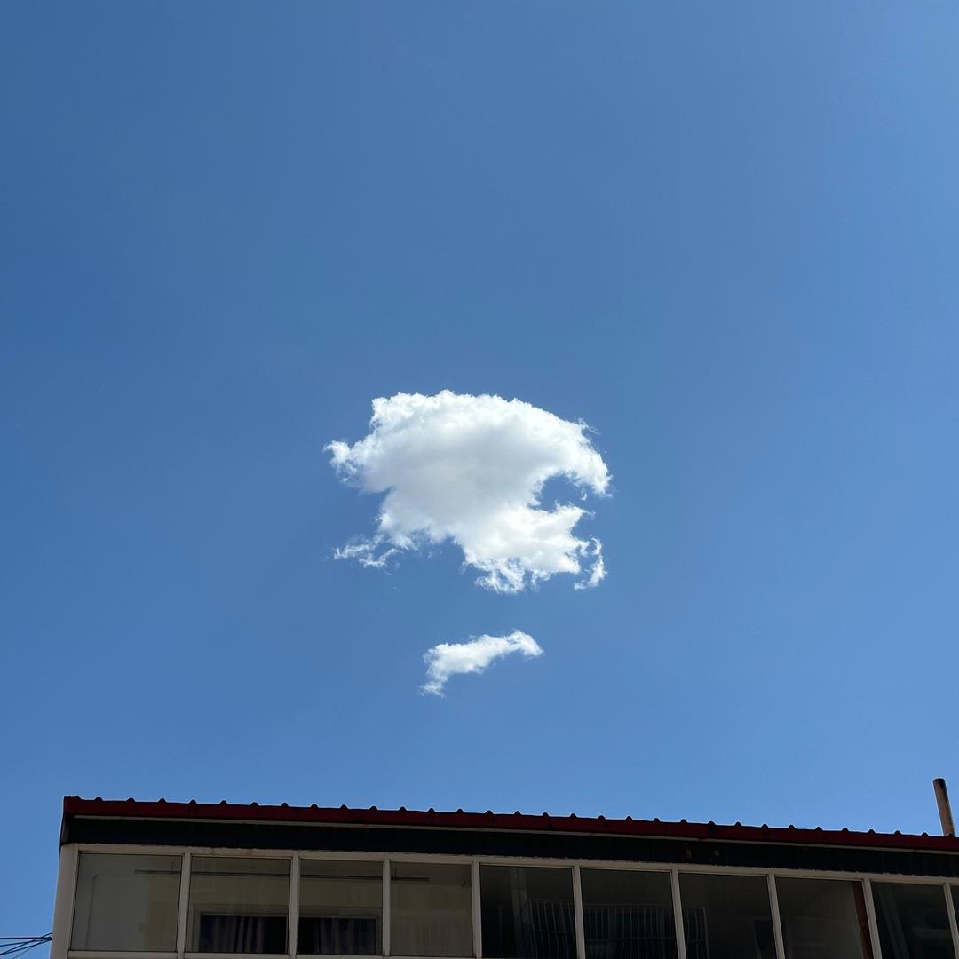扣扣🌈