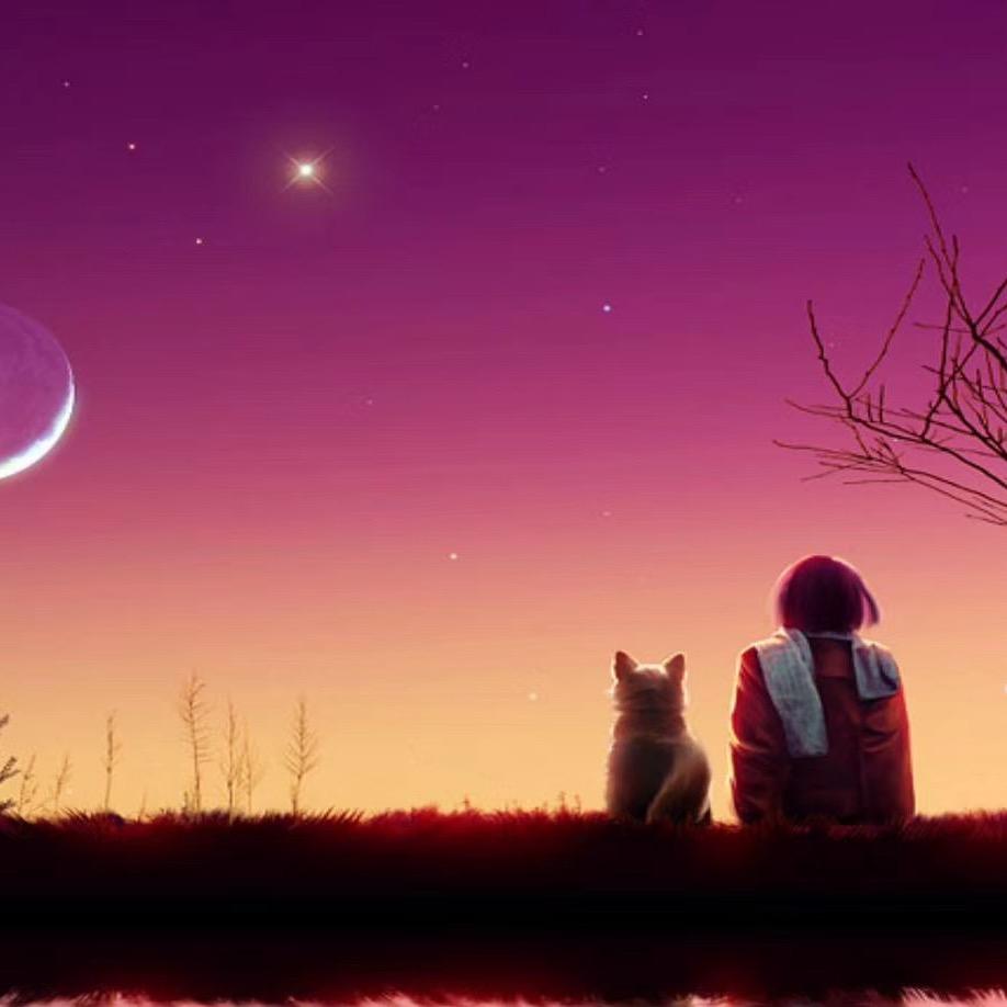 随风🏃‍♀️🏃‍♂️