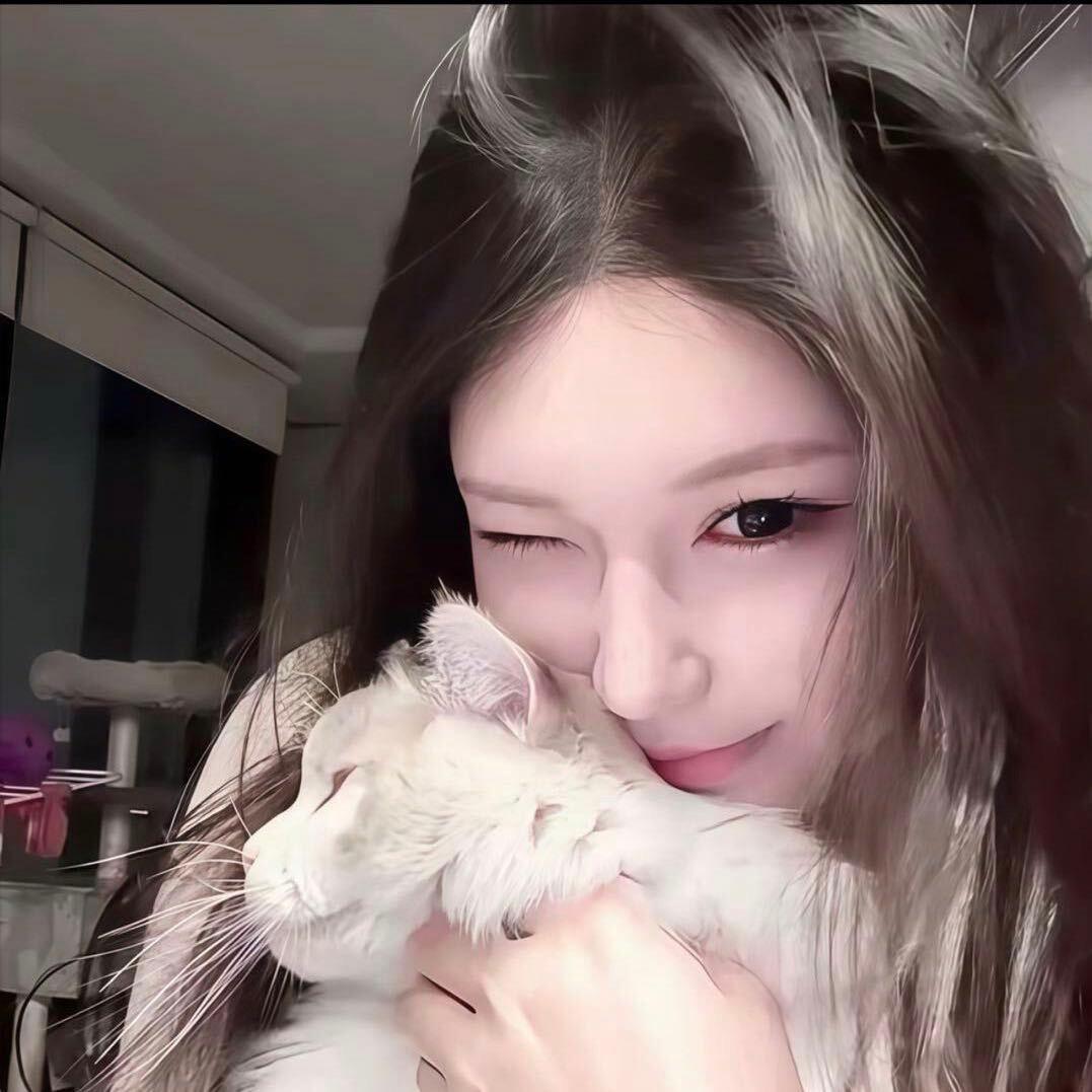 刺猬小姐.^_·