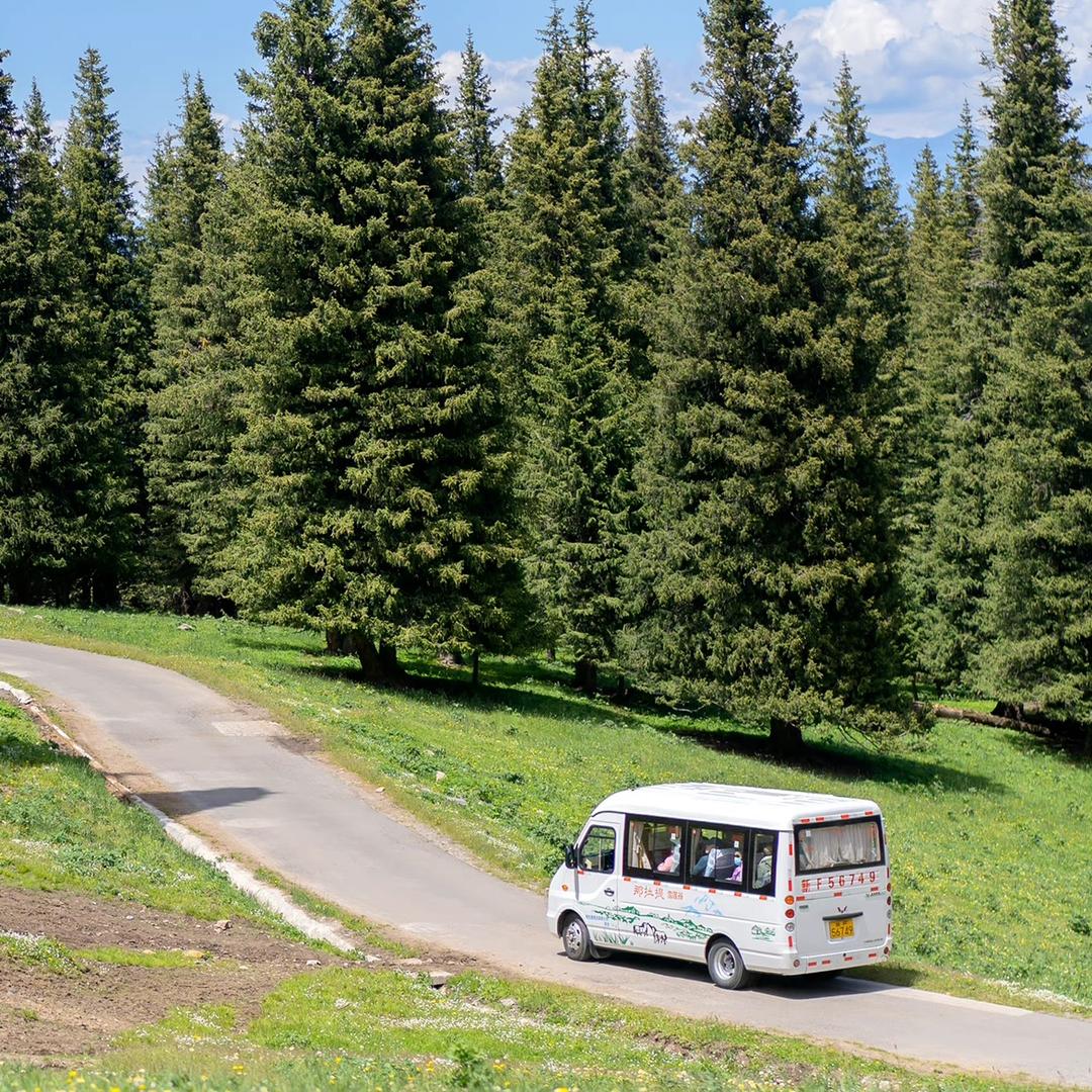 王主任的退休生活