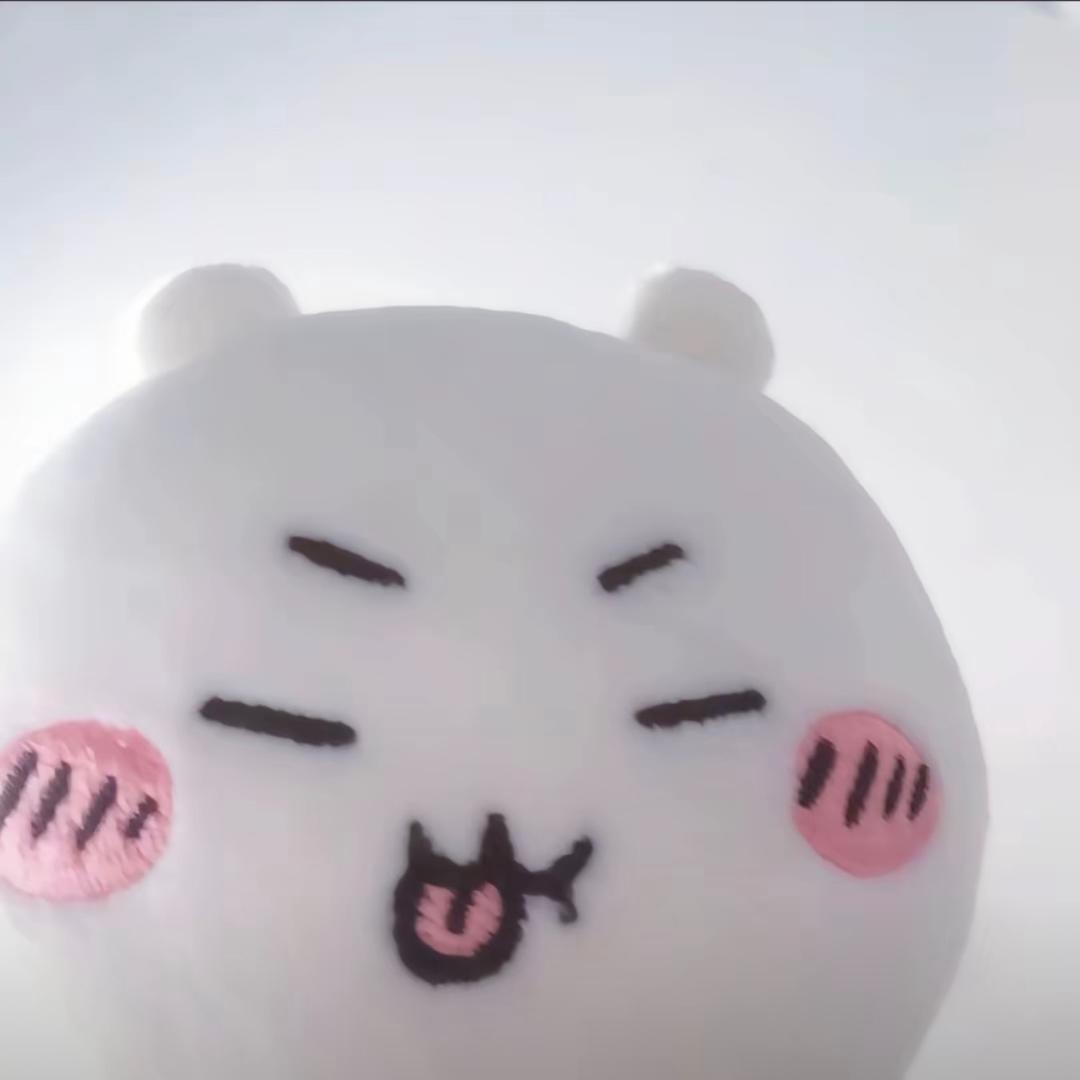 丸子快跑qaq