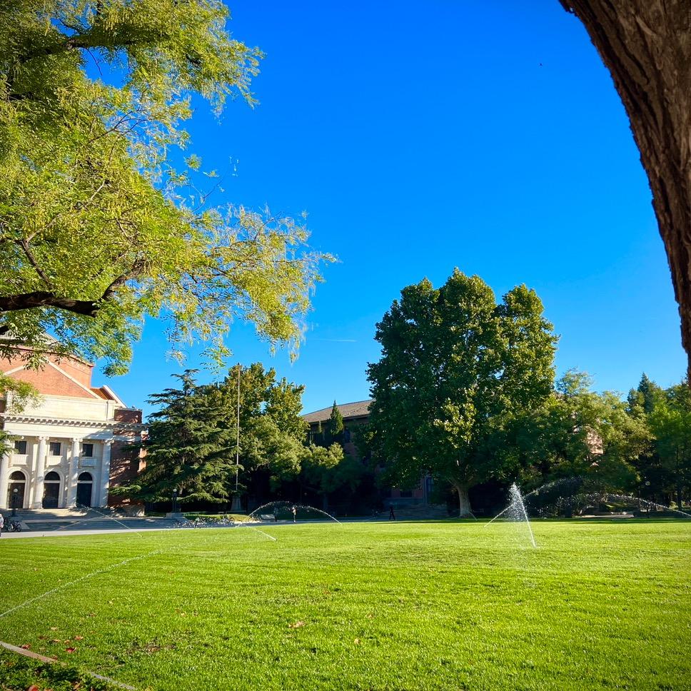 大宸的说文解字