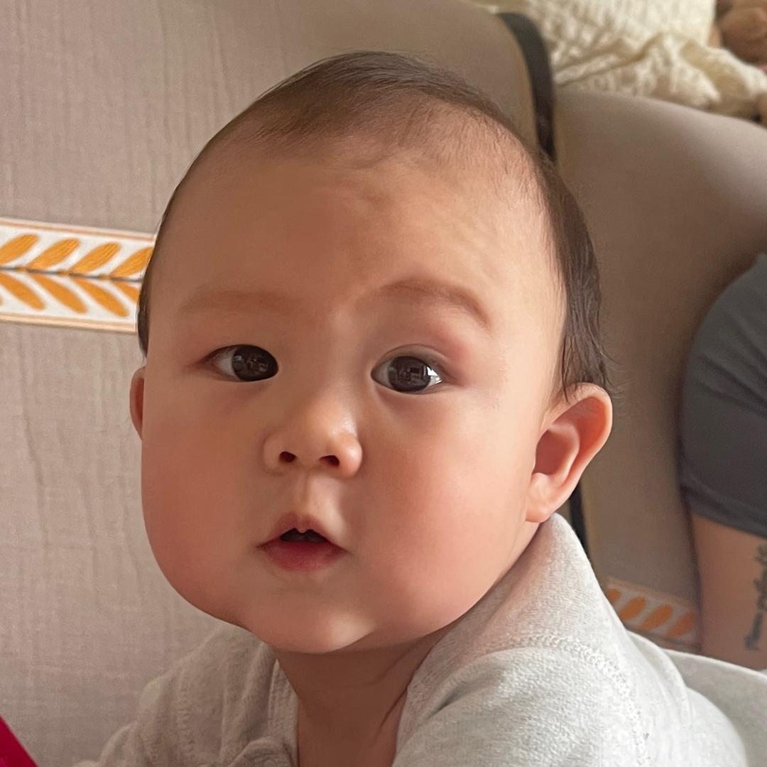 辛巴肉豪