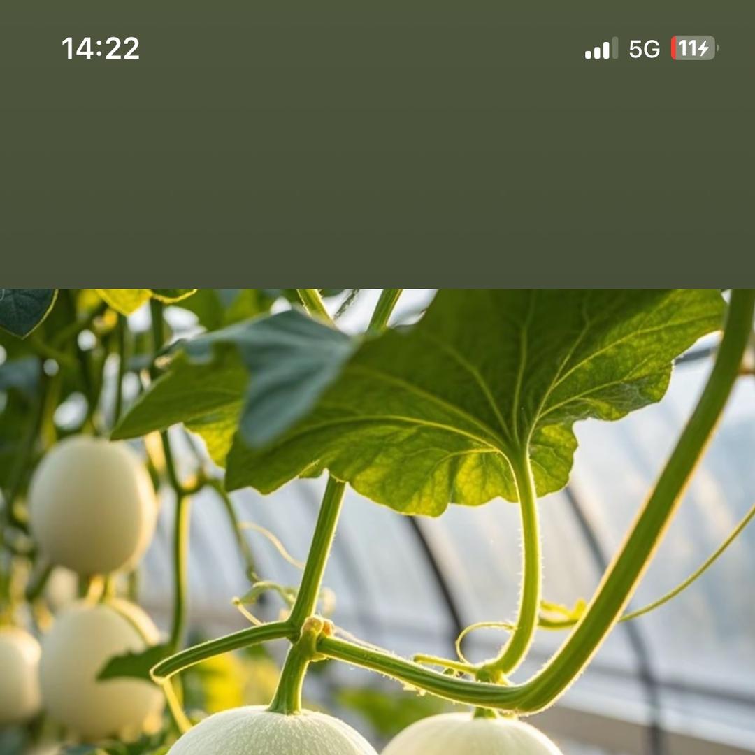 乐居甑选