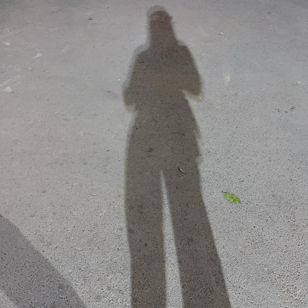 桑榆