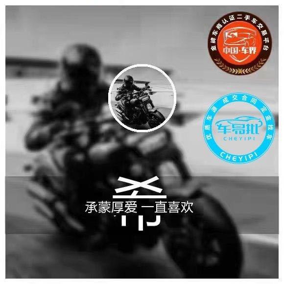 稀野严选《志跃名车 》