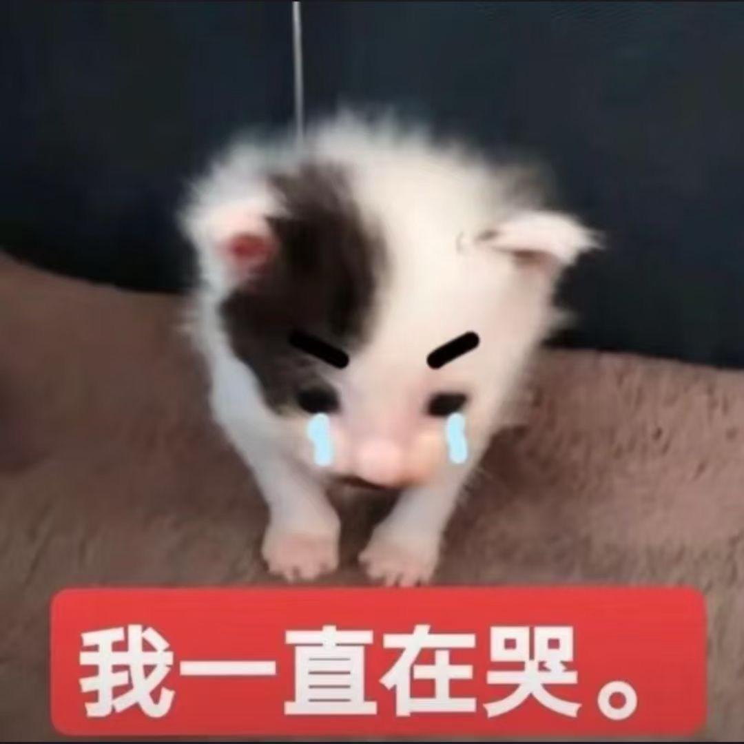 小ee