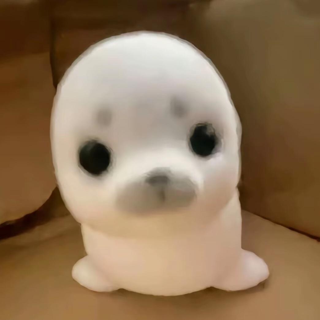 安可_ʕ •ᴥ•ʔ