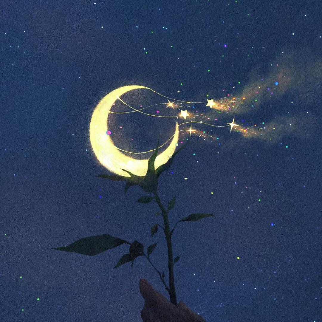 绾起梨花月