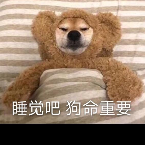 陈天不睡觉