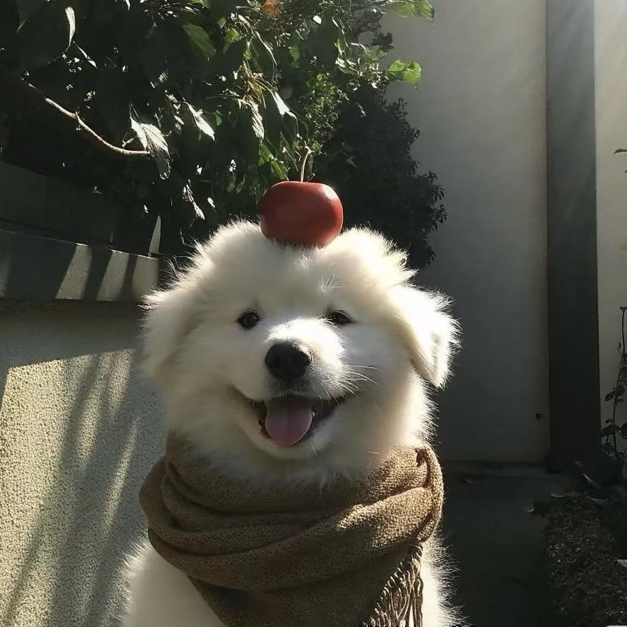 谁动了我的蛋糕🎂