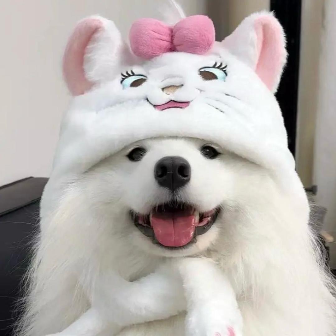 莓烦恼.
