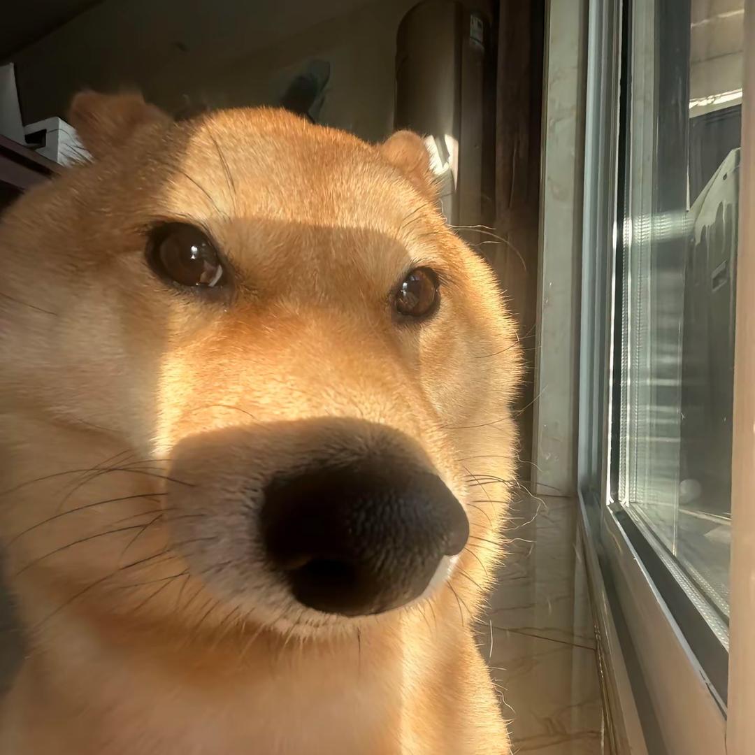云娇娇