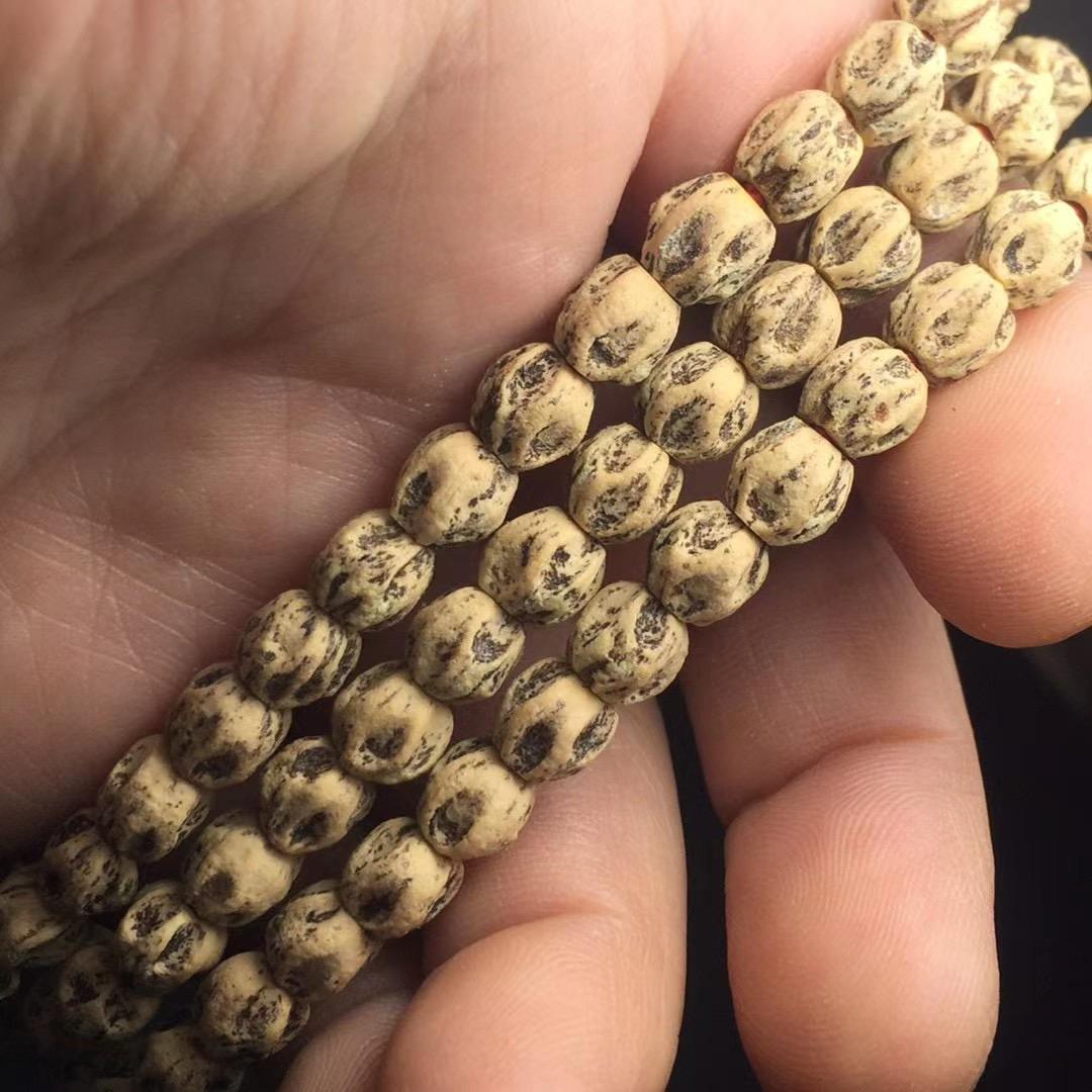 瑛珠柏家
