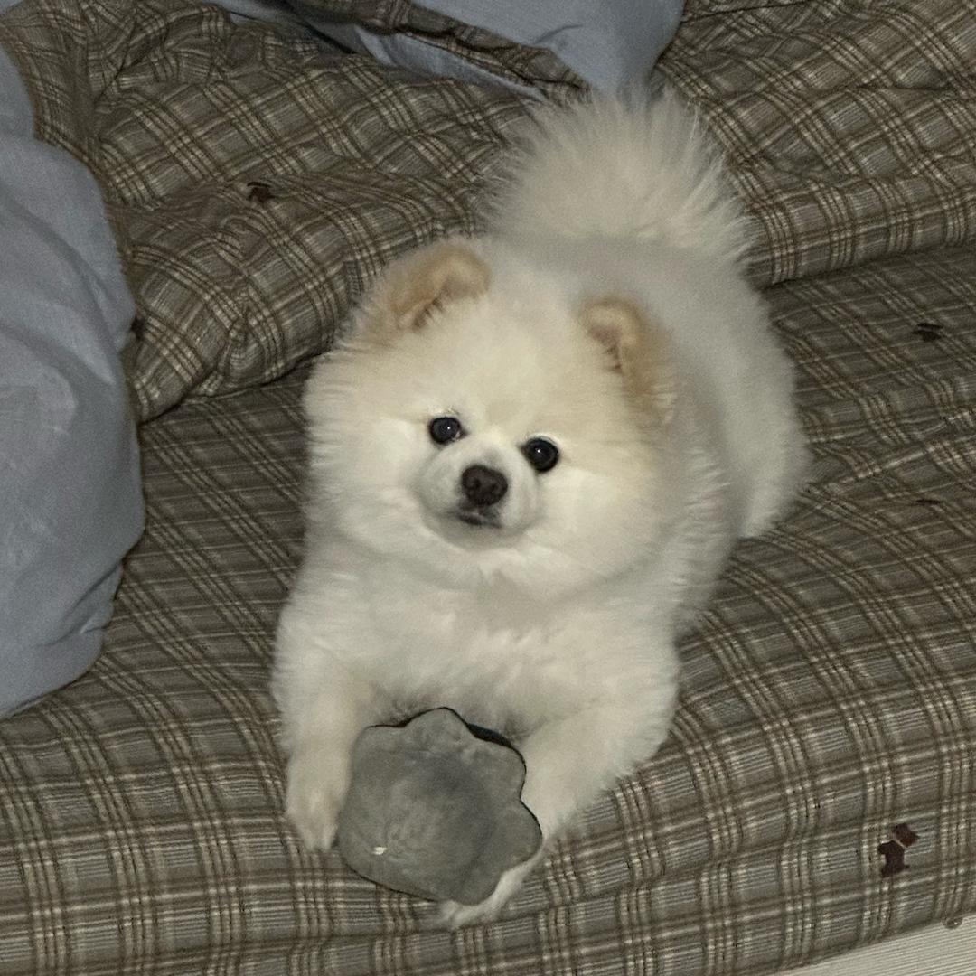 溜溜六六🐾