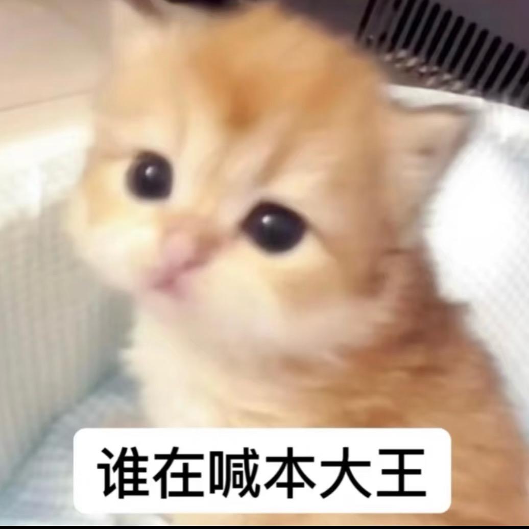 星光瞳大王