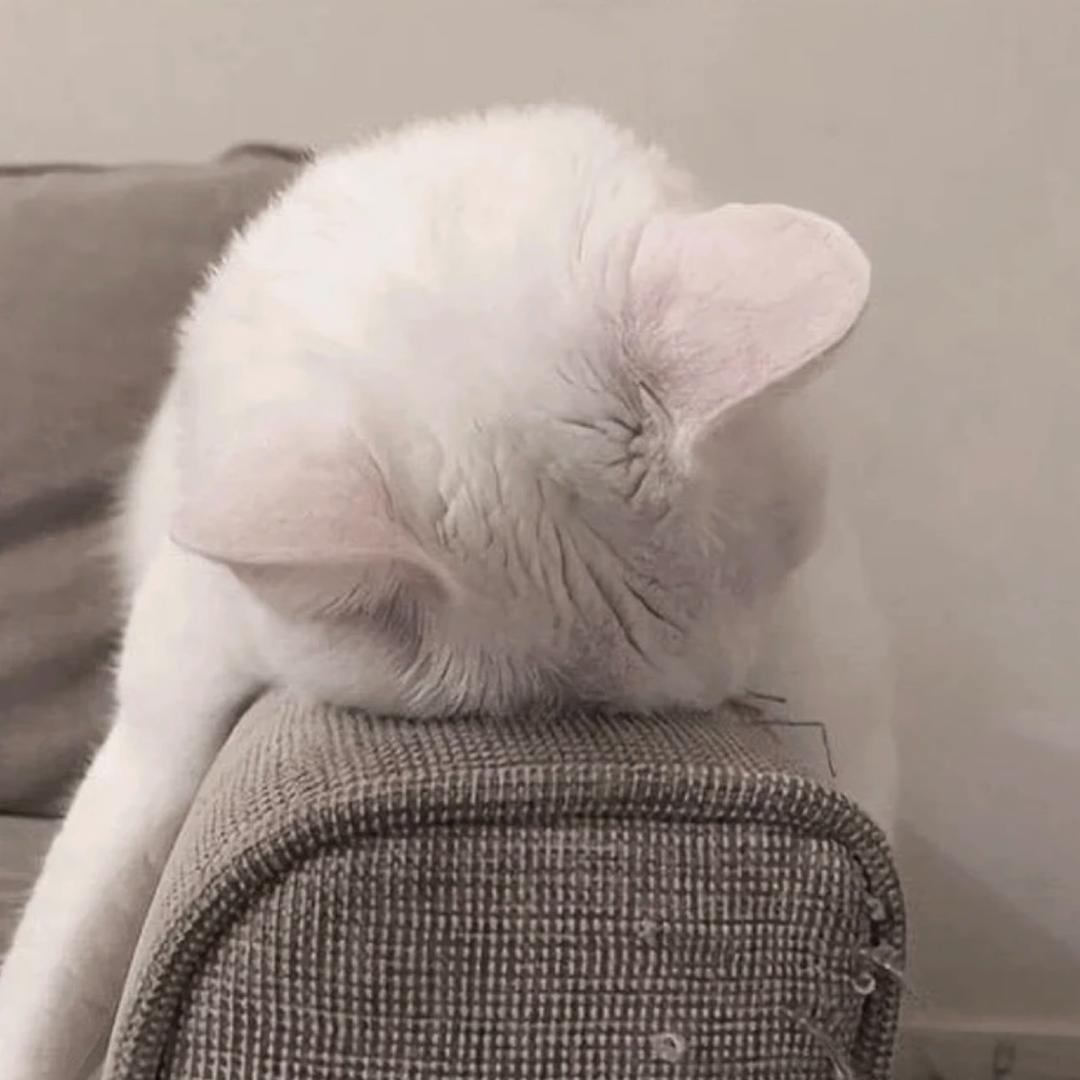 Bocoi