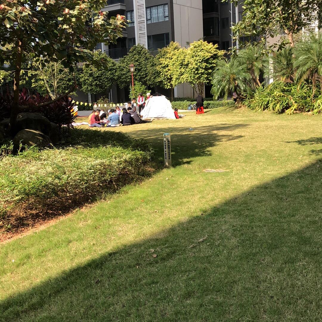 素念
