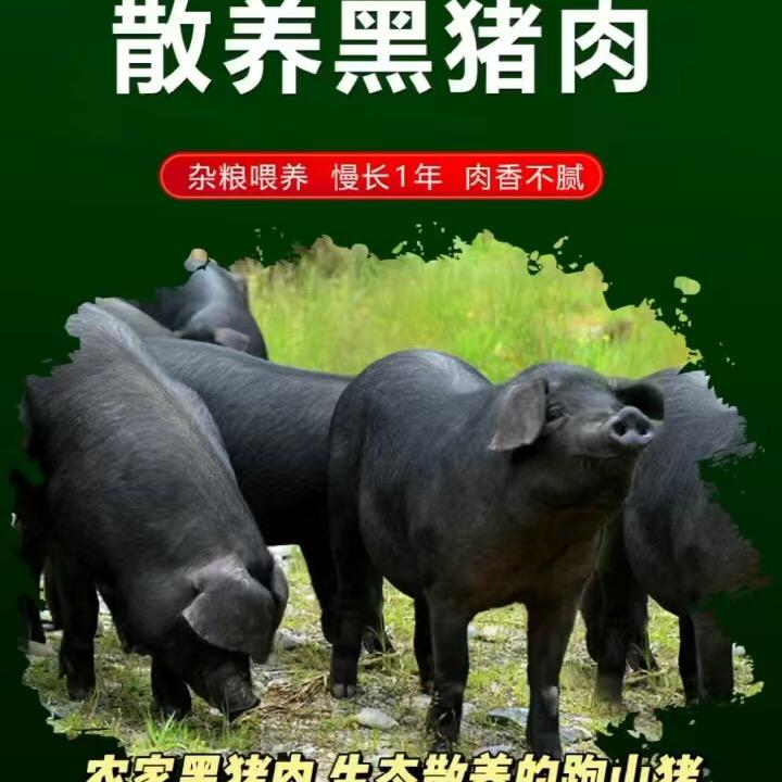 寿光现杀笨猪肉