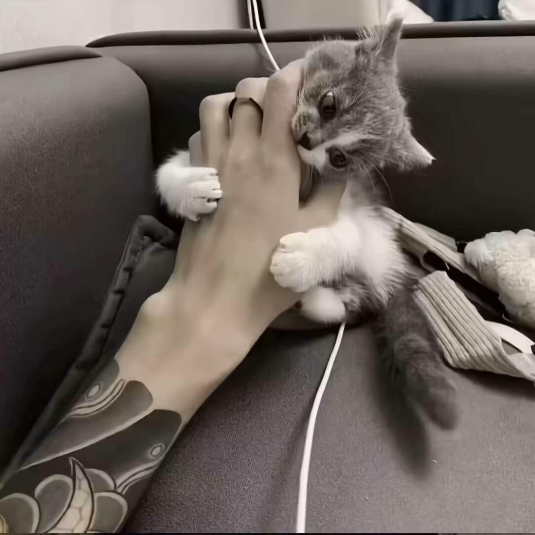 再也不见.