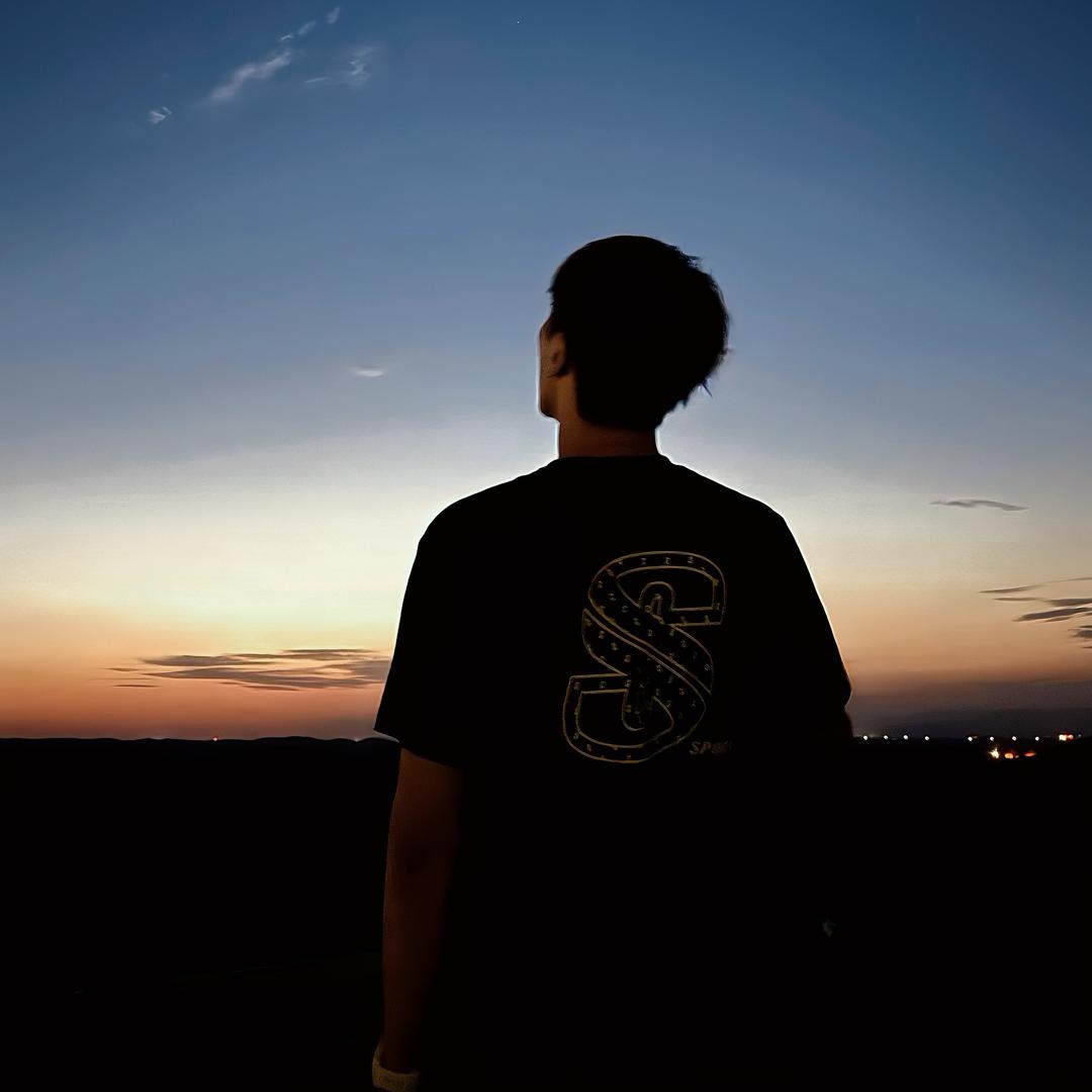 一颗开花的树（互）