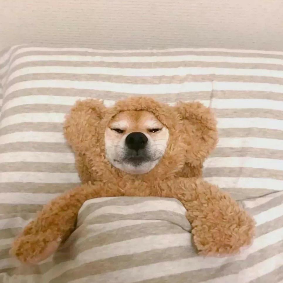 浩洋（三角洲行动）