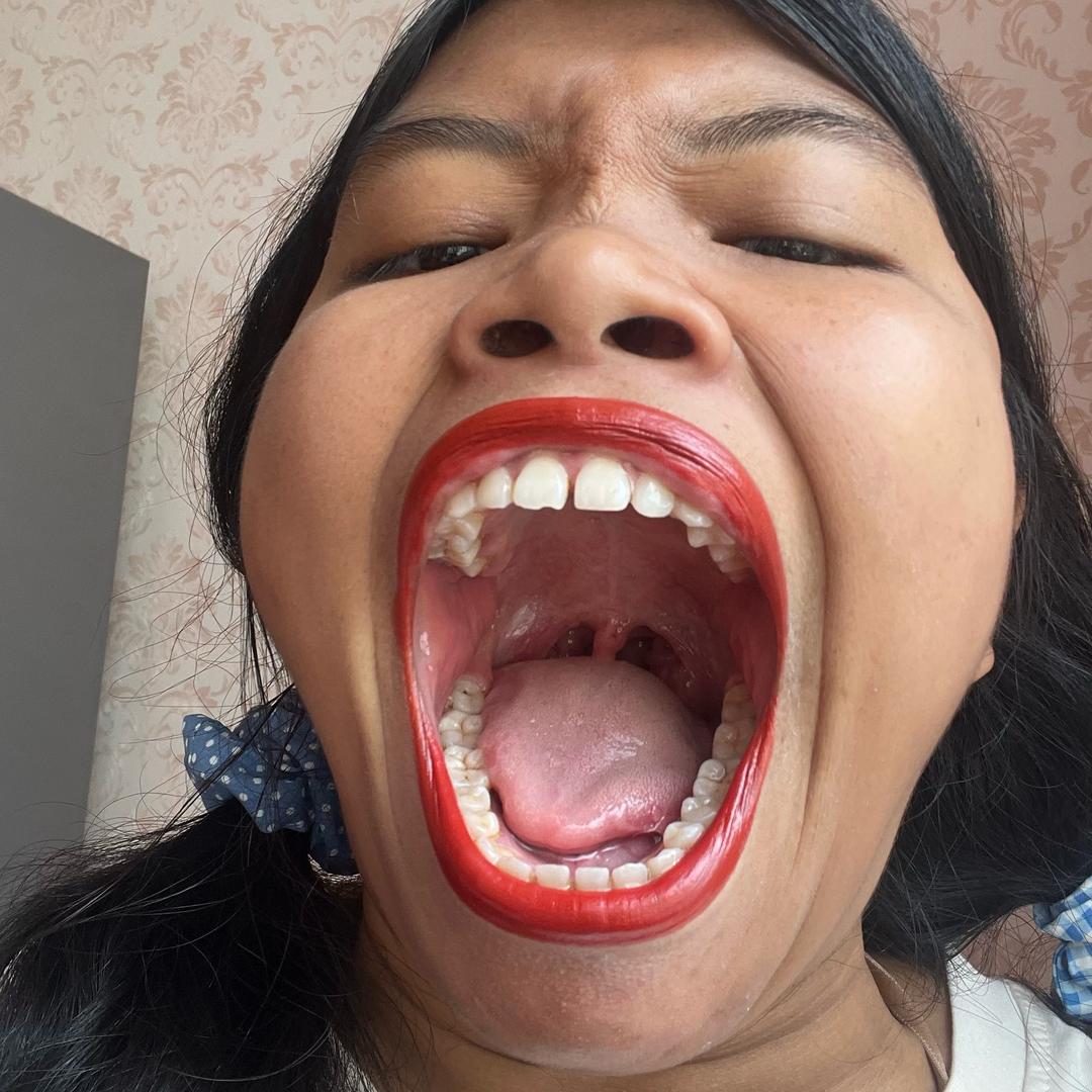 云南楚楚北比