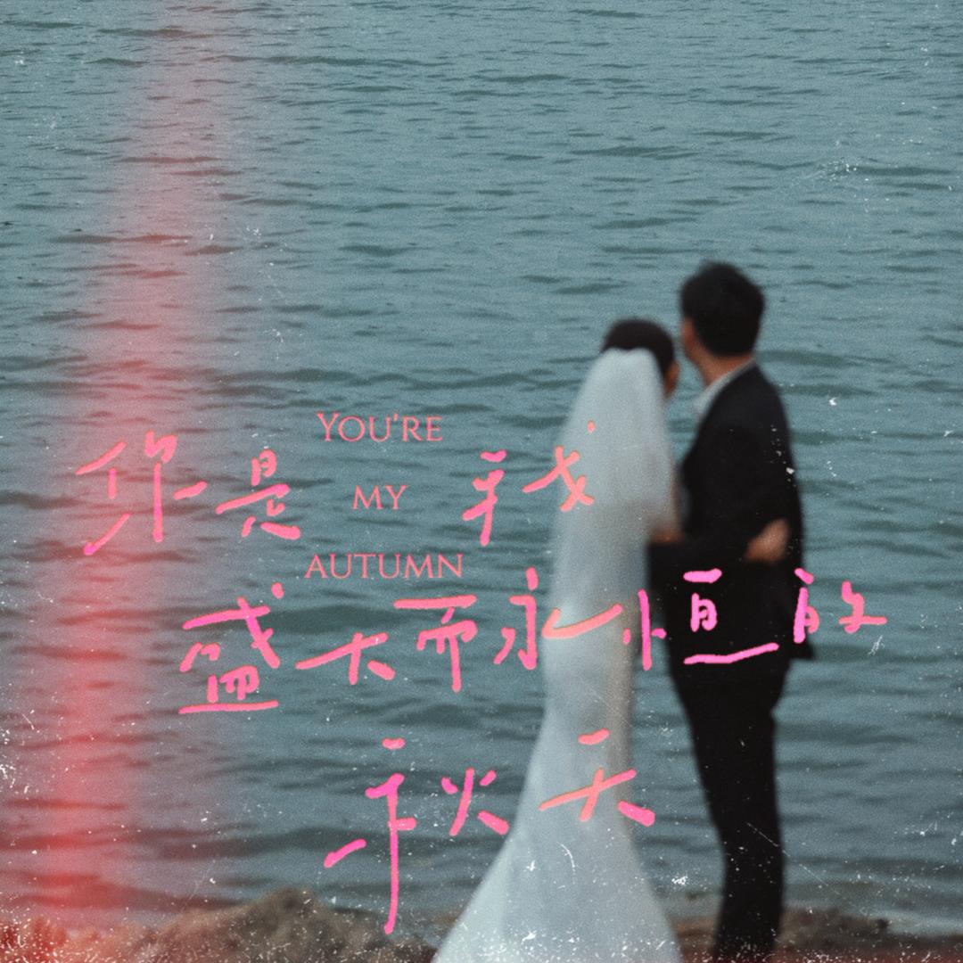 半夜数绵羊
