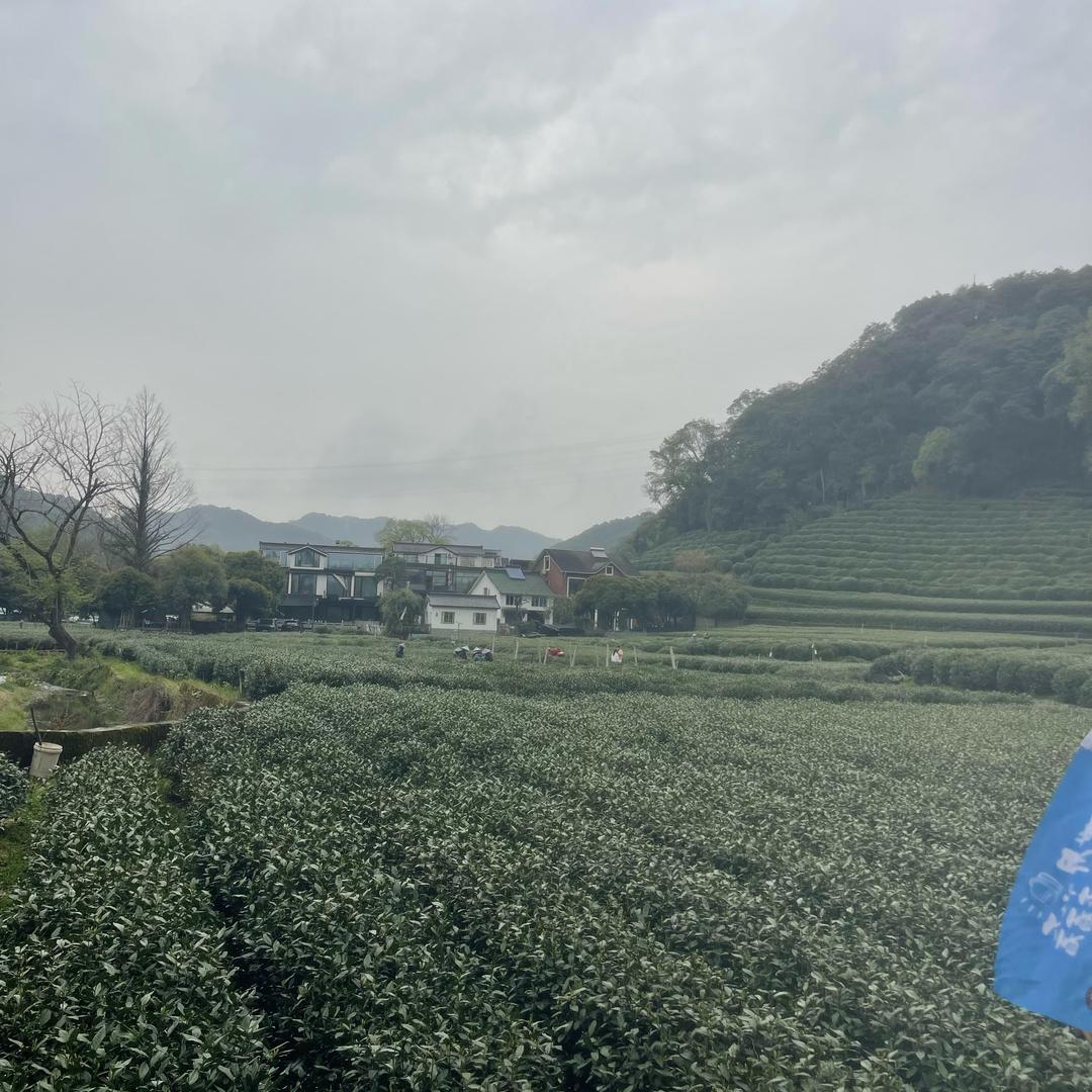 思念